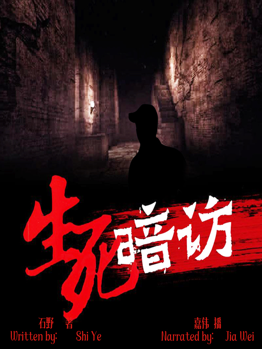 Title details for 生死暗访 (Undercover) by 石野 - Available